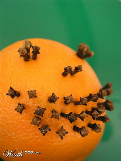 Photography by mzmzmzmz