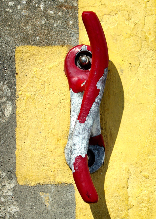 Photography by koalachimbo for DesignCrowd (Community Contests) | Design #9078952