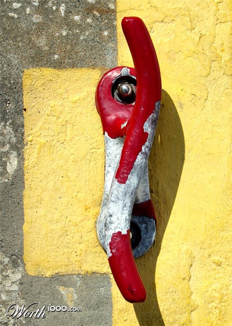 Photography by koalachimbo