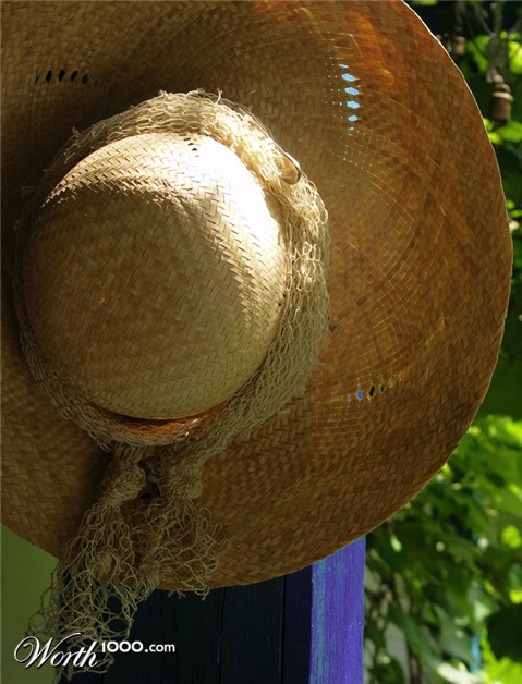 Photography by Xported