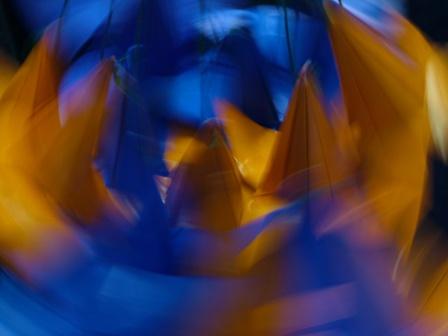 Photography by mennufer for DesignCrowd (Community Contests) | Design #9078939