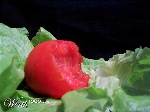 Photography by marko055