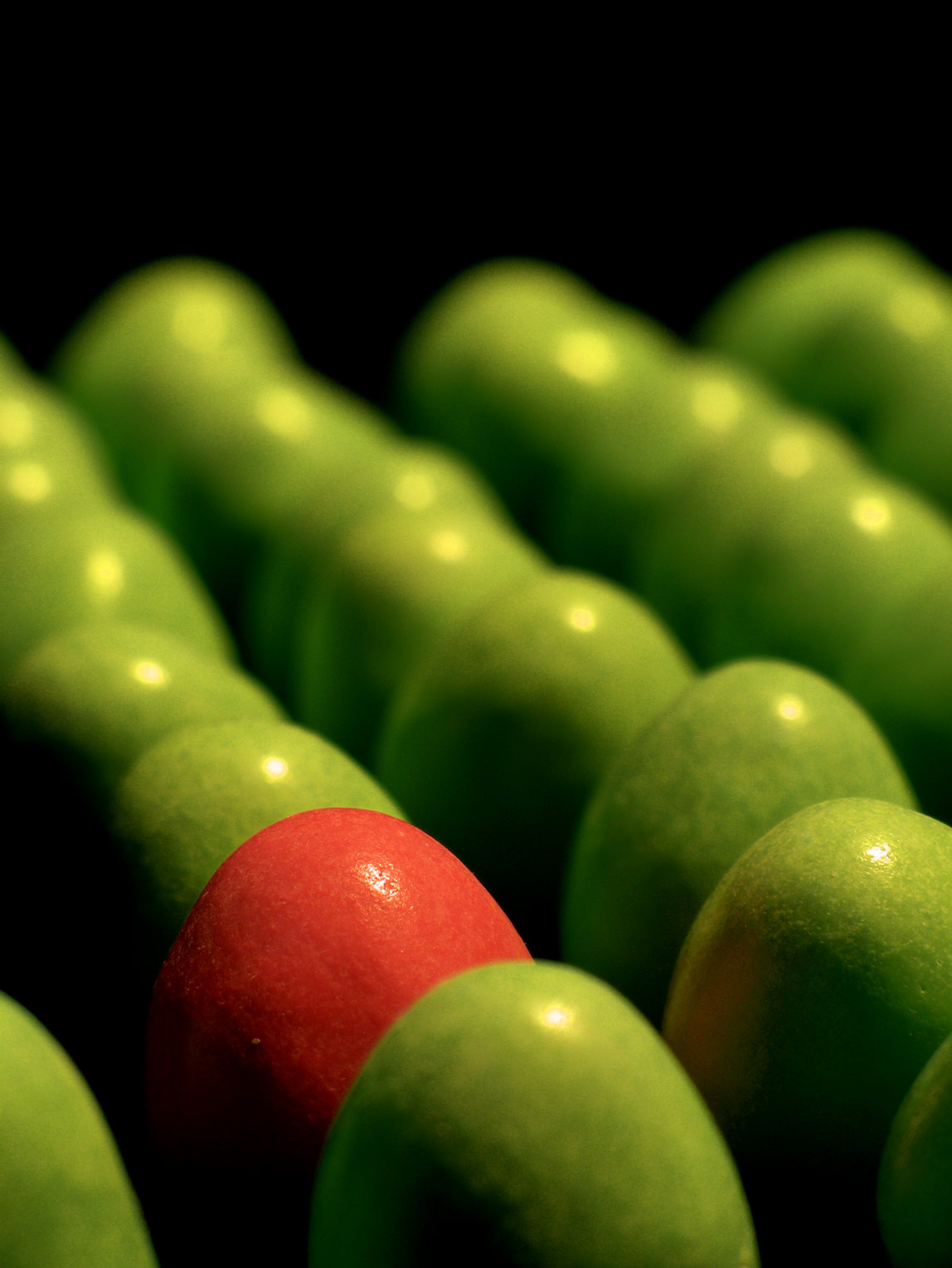 Fotografie von meerkat2 für DesignCrowd (Community Contests) | Design #9078924