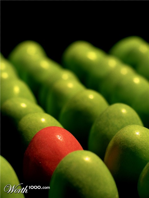 Photography by meerkat2