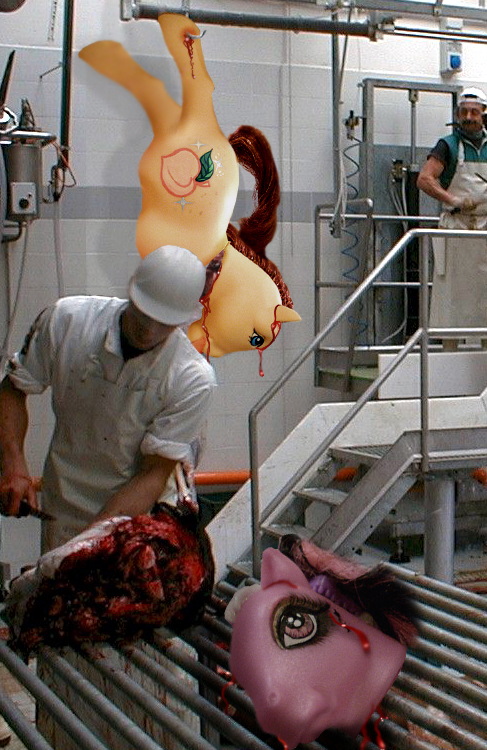 Photoshop Design by LevitateMe for DesignCrowd (Community Contests) | Design #9079964