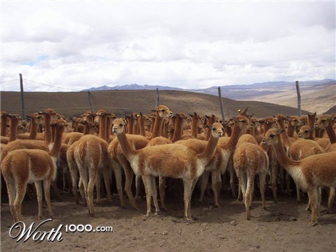 Photoshop Design by ariel9