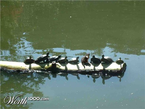 Photoshop design by JeanneML for DesignCrowd (Community Contests)