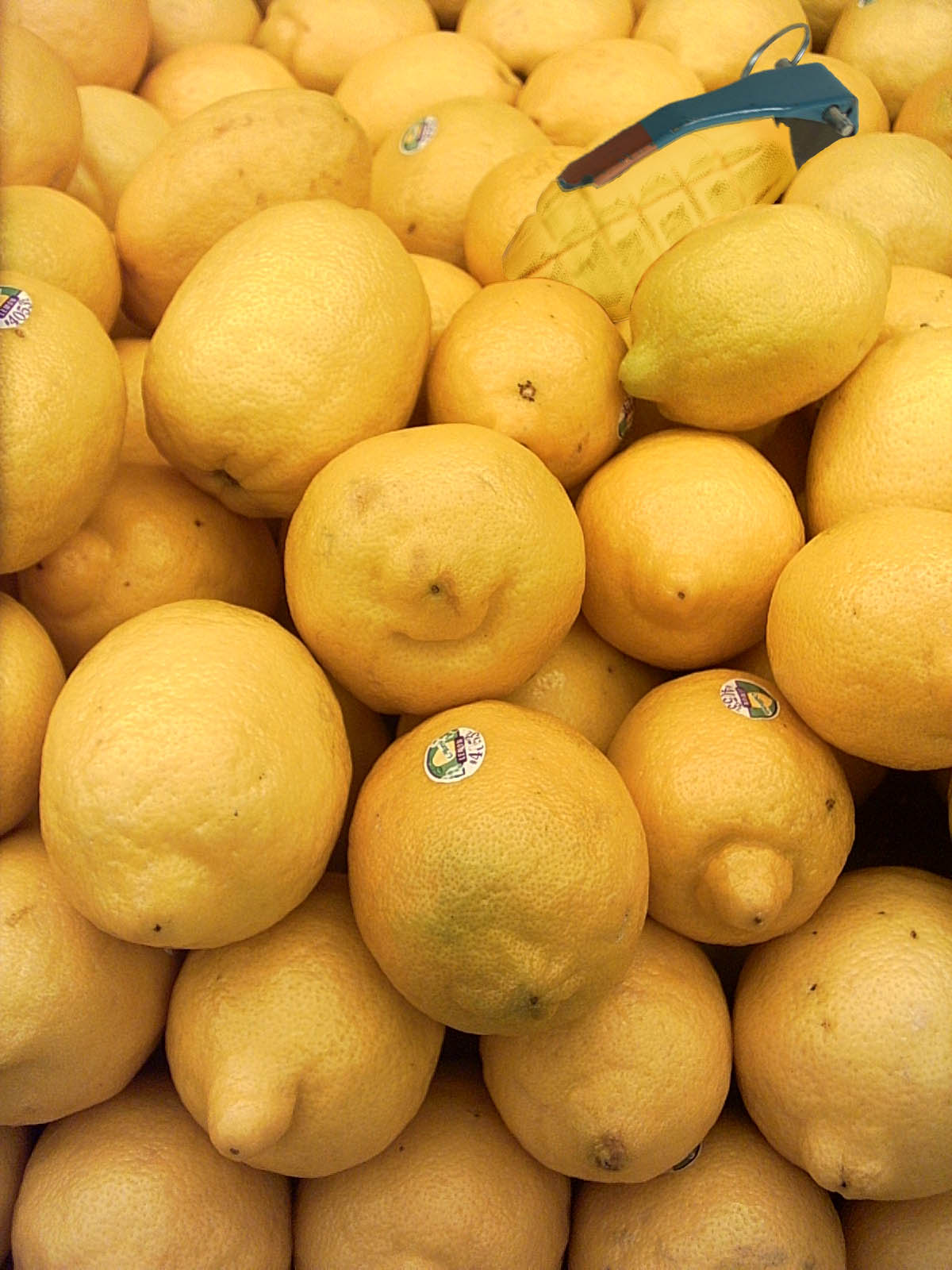 Diseño de Photoshop por idolevy para DesignCrowd (Community Contests) | Diseño #9074996