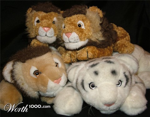 Photography by lazerblade