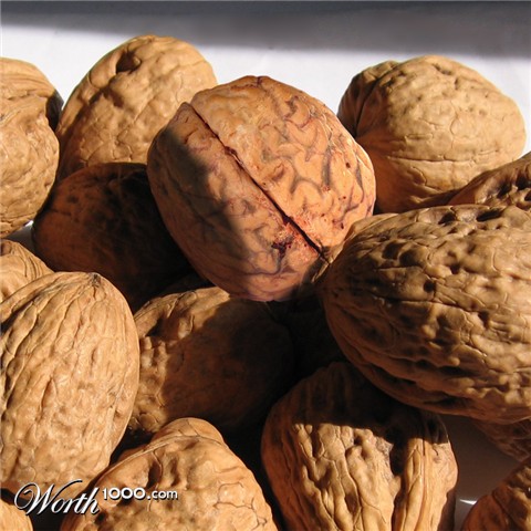 Photoshop Design by flaebehop