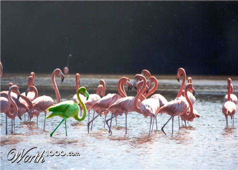 Photoshop Design by blob008