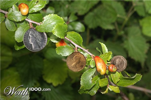 Photoshop Design by sherif1000