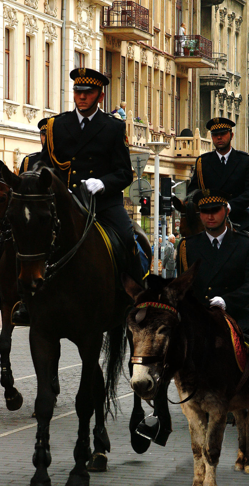 Photoshop Design by bingobaby for DesignCrowd (Community Contests) | Design #9075056