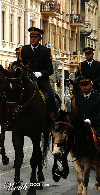 Photoshop Design by bingobaby