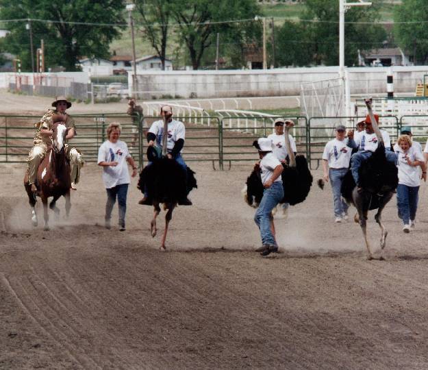 Photoshop Design by sloanyo for DesignCrowd (Community Contests) | Design #9075050