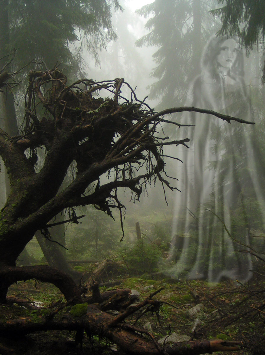 Photoshop Design by bingobaby for DesignCrowd (Community Contests) | Design #9078060