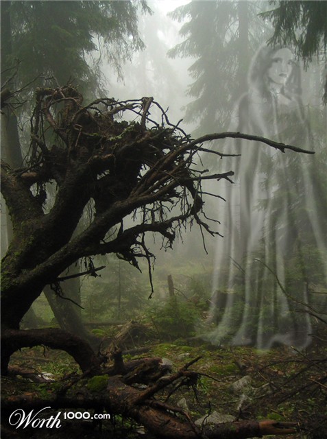 Photoshop Design by bingobaby