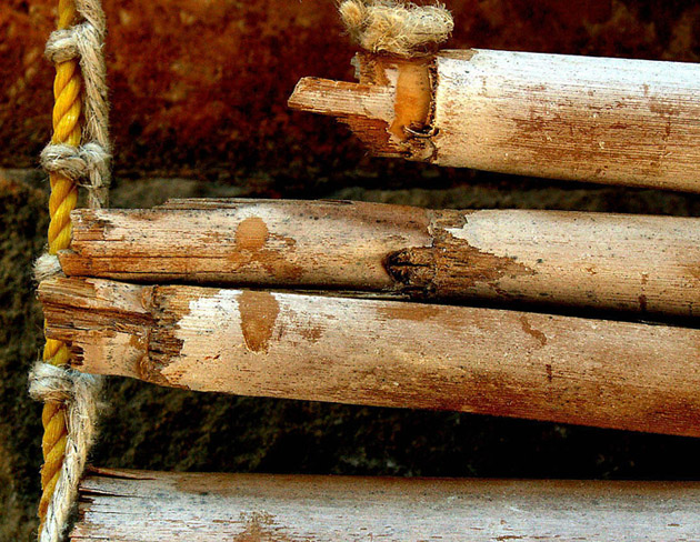 Photography by Ronbrandt for DesignCrowd (Community Contests) | Design #9079830