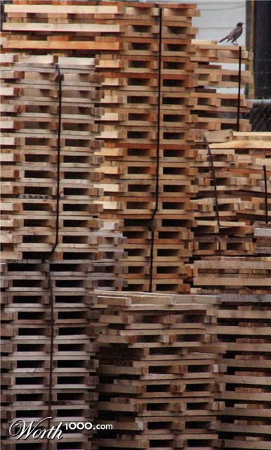 Photography by rdchdwck