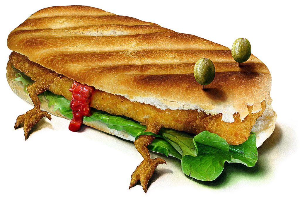 Diseño de Photoshop por BlizzIX para DesignCrowd (Community Contests) | Diseño #9078140