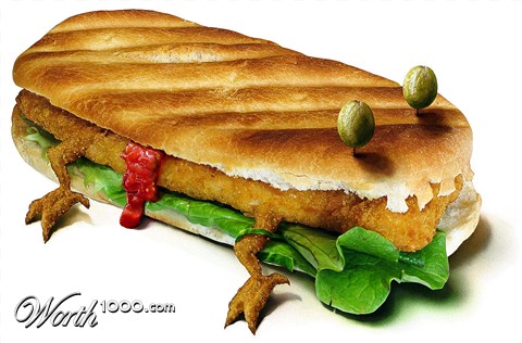 Photoshop Design by BlizzIX