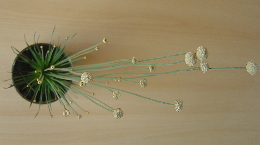 Photography by christiaanbroere for DesignCrowd (Community Contests) | Design #9075327