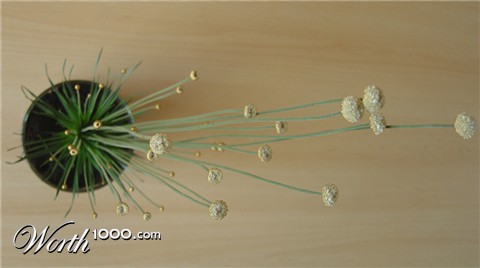 Photography by christiaanbroere