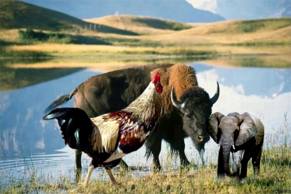 Diseño de Photoshop por jnivas para DesignCrowd (Community Contests) | Diseño #9078211