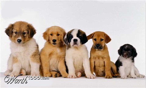 Photoshop Design by Beetleb