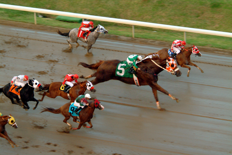 Photoshop Design by echoburst for DesignCrowd (Community Contests) | Design #9078195