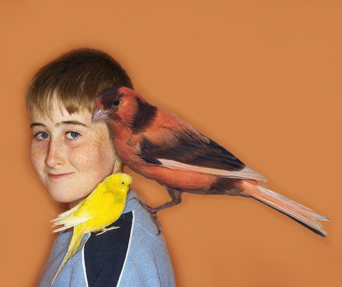 Photoshop Design by vampireflamingo for DesignCrowd (Community Contests) | Design #9078237