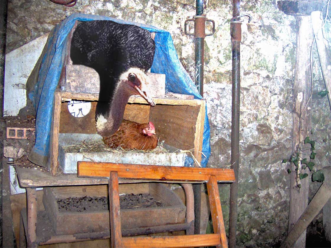 Photoshop Design by Saleko for DesignCrowd (Community Contests) | Design #9078392