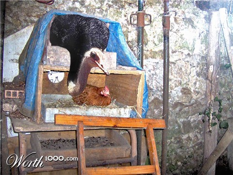 Photoshop Design by Saleko