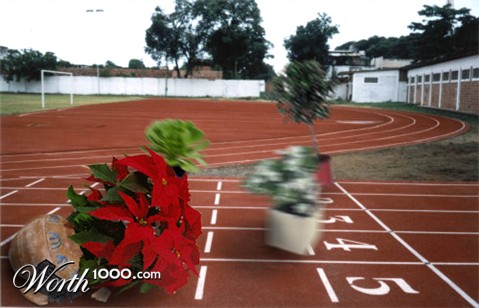 Photoshop Design by Saleko