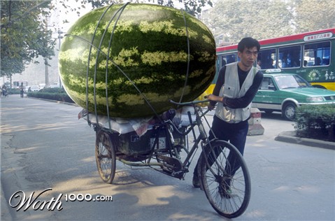 Photoshop Design by surendrasawant