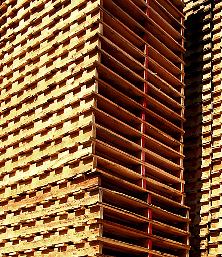 Photography by dollyllama for DesignCrowd (Community Contests) | Design #9079807