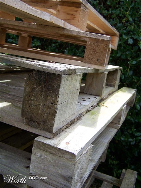 Photography by TotalDomination