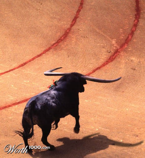 Photoshop Design by josmaso