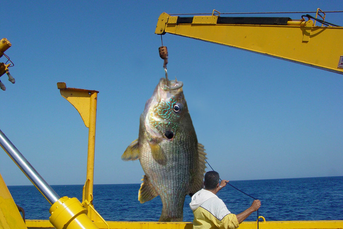 Photoshop-Design von pixelgasoline für DesignCrowd (Community Contests) | Design #9078508