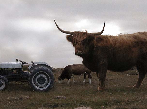 Photoshop-Design von Riscchip für DesignCrowd (Community Contests) | Design #9078432