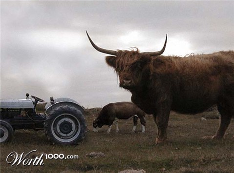 Photoshop Design by Riscchip