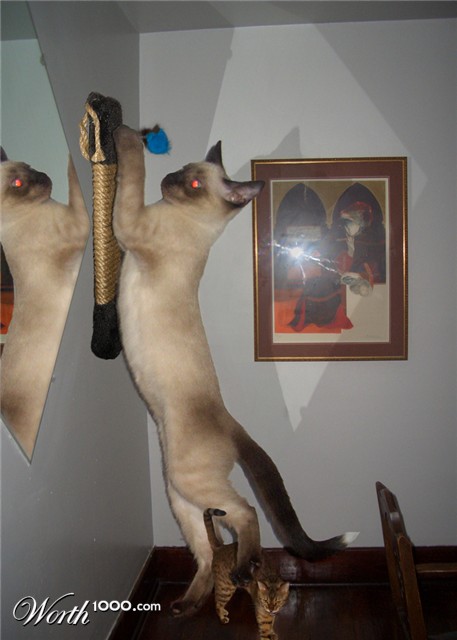 Photoshop Design by a17rwk