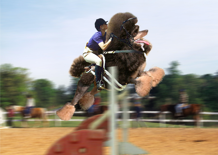 Photoshop Design by modigliani for DesignCrowd (Community Contests) | Design #9066771