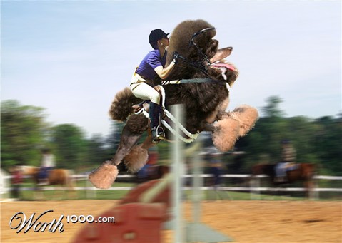 Photoshop Design by modigliani