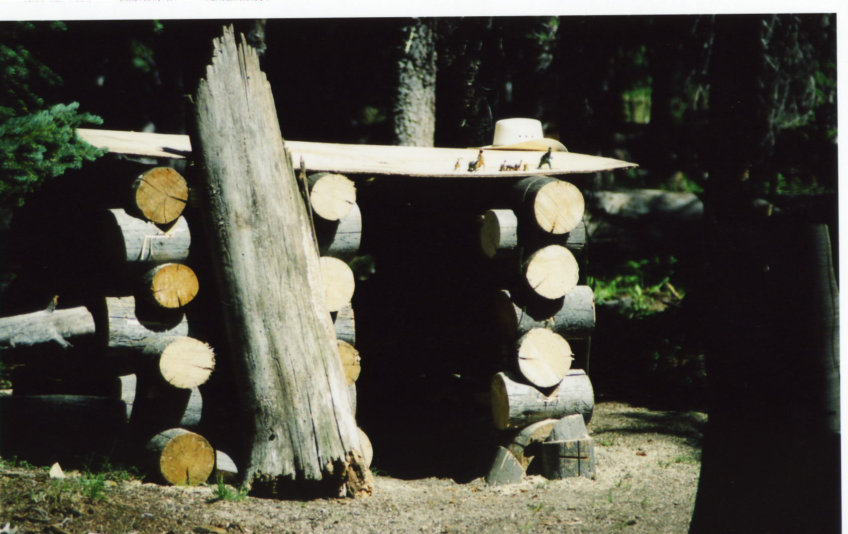 Photography by padoopie for DesignCrowd (Community Contests) | Design #9079926