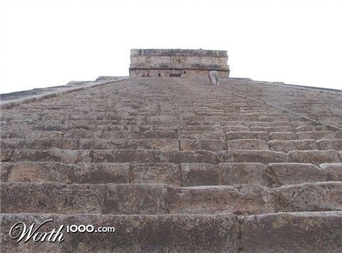 Photography by lezard