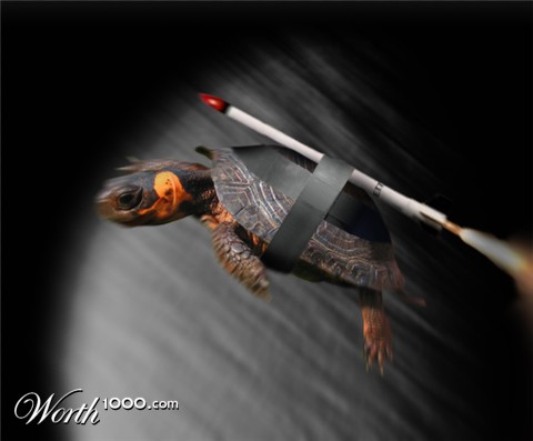 Photoshop Design by NickatNite