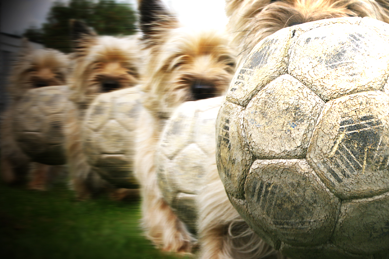 Diseño de Photoshop por Cajenka para DesignCrowd (Community Contests) | Diseño #9078476