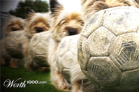 Photoshop Design by Cajenka