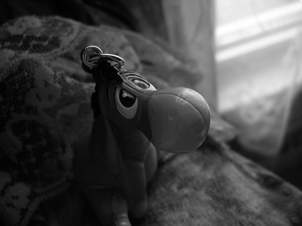 Photography by SpikeyB for DesignCrowd (Community Contests) | Design #9082111